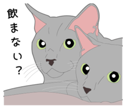 Greetings of realistic system cat sticker #8297584