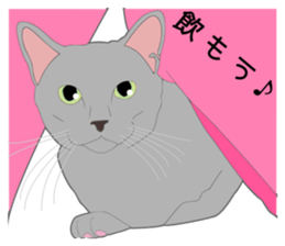 Greetings of realistic system cat sticker #8297585