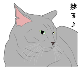 Greetings of realistic system cat sticker #8297586