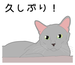 Greetings of realistic system cat sticker #8297588