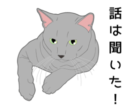 Greetings of realistic system cat sticker #8297590