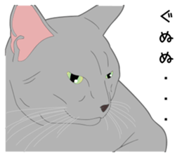 Greetings of realistic system cat sticker #8297592