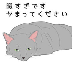 Greetings of realistic system cat sticker #8297593