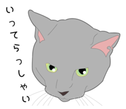 Greetings of realistic system cat sticker #8297595