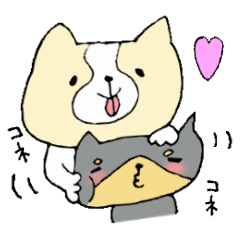 This is not a cat,it is a dog 3