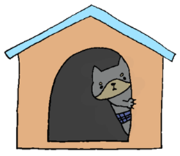 This is not a cat,it is a dog 3 sticker #8297644