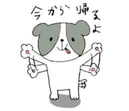 This is not a cat,it is a dog 3 sticker #8297648