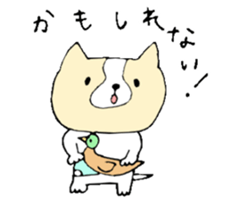 This is not a cat,it is a dog 3 sticker #8297666