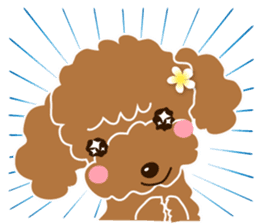 I love poodle ! sticker #8298334
