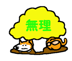 Shiba inu MOMO chan the third as well! 7 sticker #8300321