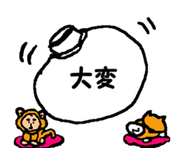 Shiba inu MOMO chan the third as well! 7 sticker #8300331