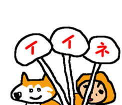 Shiba inu MOMO chan the third as well! 7 sticker #8300333