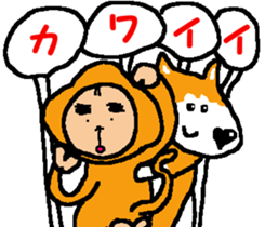 Shiba inu MOMO chan the third as well! 7 sticker #8300334