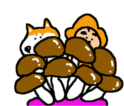 Shiba inu MOMO chan the third as well! 7 sticker #8300336