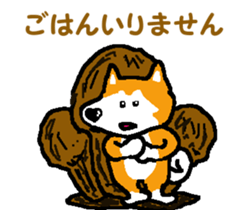 Shiba inu MOMO chan the third as well! 7 sticker #8300342