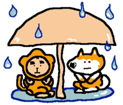 Shiba inu MOMO chan the third as well! 7 sticker #8300344