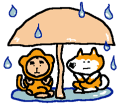 Shiba inu MOMO chan the third as well! 7 sticker #8300344