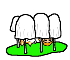 Shiba inu MOMO chan the third as well! 7 sticker #8300348