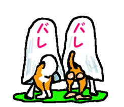 Shiba inu MOMO chan the third as well! 7 sticker #8300350