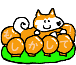 Shiba inu MOMO chan the third as well! 7 sticker #8300355