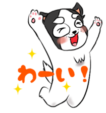 oinusama standard sticker #8304478