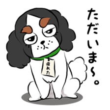 oinusama standard sticker #8304479