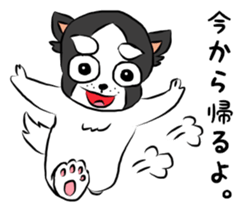 oinusama standard sticker #8304494