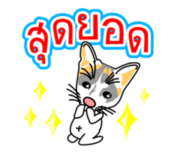 Maew Maew Thai Cat Ver.2 sticker #8307582