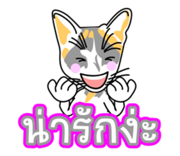 Maew Maew Thai Cat Ver.2 sticker #8307587