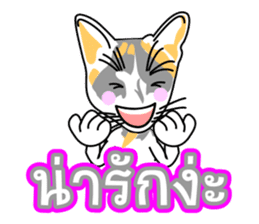 Maew Maew Thai Cat Ver.2 sticker #8307587