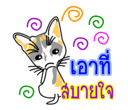 Maew Maew Thai Cat Ver.2 sticker #8307591