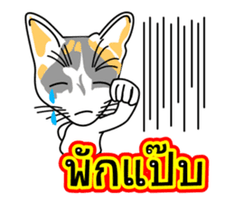 Maew Maew Thai Cat Ver.2 sticker #8307599