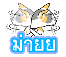 Maew Maew Thai Cat Ver.2 sticker #8307601