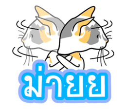 Maew Maew Thai Cat Ver.2 sticker #8307601