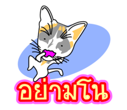 Maew Maew Thai Cat Ver.2 sticker #8307605