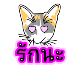 Maew Maew Thai Cat Ver.2 sticker #8307610