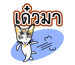 Maew Maew Thai Cat Ver.2 sticker #8307611