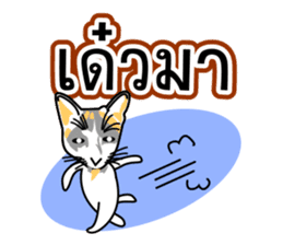 Maew Maew Thai Cat Ver.2 sticker #8307611