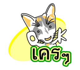 Maew Maew Thai Cat Ver.2 sticker #8307619