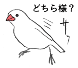 Cool java sparrow sticker #8307941