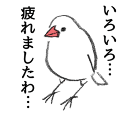 Cool java sparrow sticker #8307954