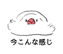 Cool java sparrow sticker #8307961