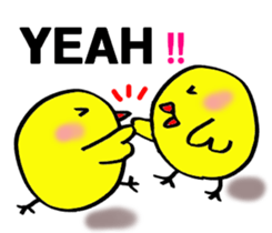 Pretty daily life of chicks2 sticker #8308580