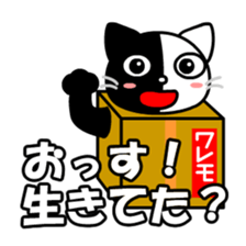 Moco the cat in box sticker #8308622