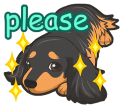 Hi! Long haired dachshund sticker #8308670