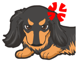 Hi! Long haired dachshund sticker #8308675
