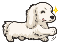 Hi! Long haired dachshund sticker #8308677