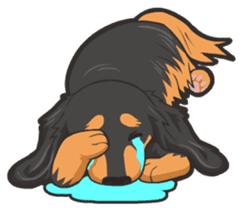 Hi! Long haired dachshund sticker #8308683