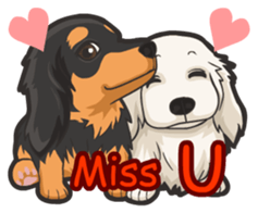 Hi! Long haired dachshund sticker #8308699