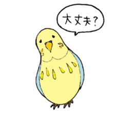 Parakeet daily sticker #8313826